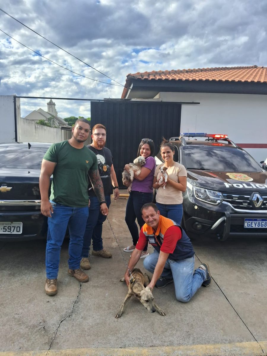 Foto: Divulgação/PC SP